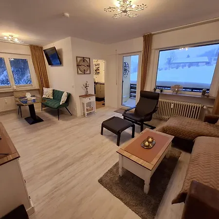 Harzer Brockenblick, Bis 2 Hunde Willkommen, W-lan, Sauna *