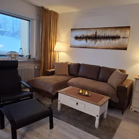 Harzer Brockenblick, Bis 2 Hunde Willkommen, W-lan, Sauna * Hohegeiß