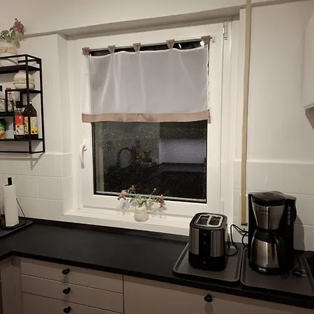 Harzer Brockenblick, Bis 2 Hunde Willkommen, W-lan, Sauna Hohegeiß