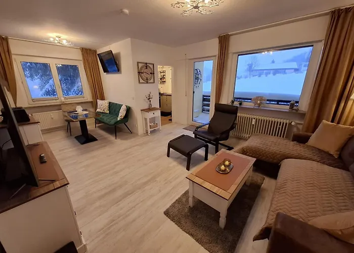 Harzer Brockenblick, Bis 2 Hunde Willkommen, W-lan, Sauna *