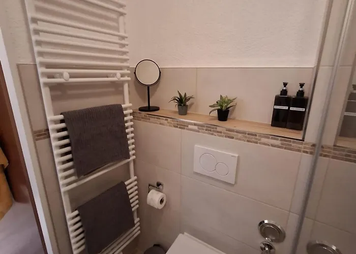 Harzer Brockenblick, Bis 2 Hunde Willkommen, W-lan, Sauna Hohegeiss