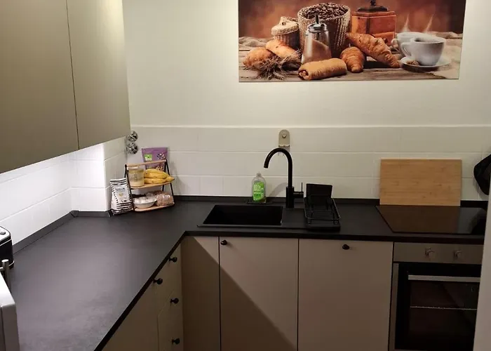 Harzer Brockenblick, Bis 2 Hunde Willkommen, W-lan, Sauna *